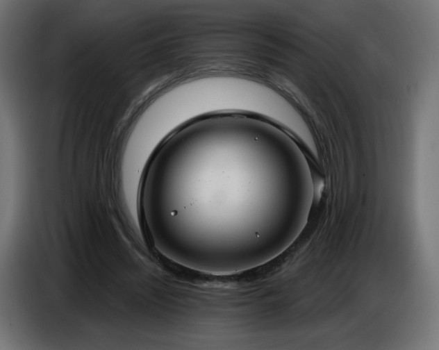 X0000086750444200704131154