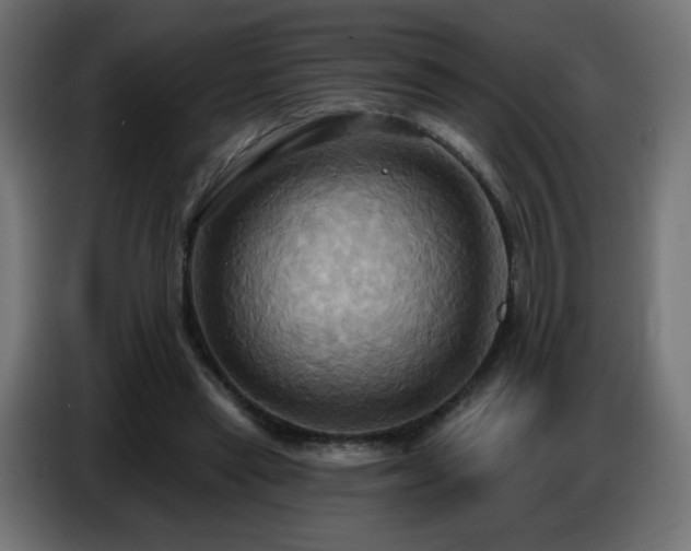 X0000086750445200704131154