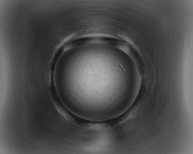X0000086750446200704131154