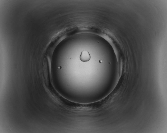 X0000086750448200704131155