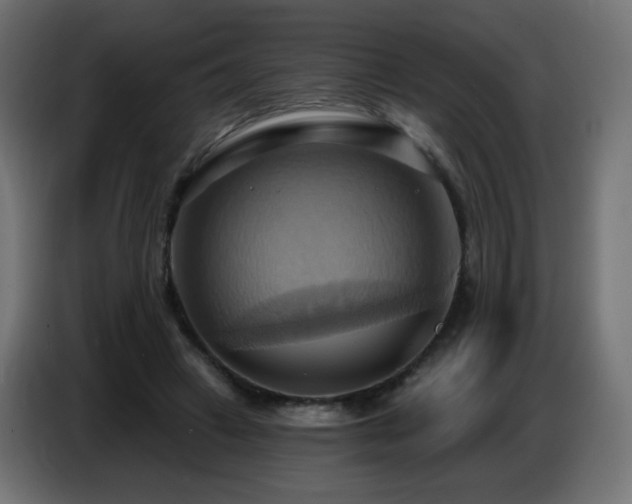 X0000086750449200704131155