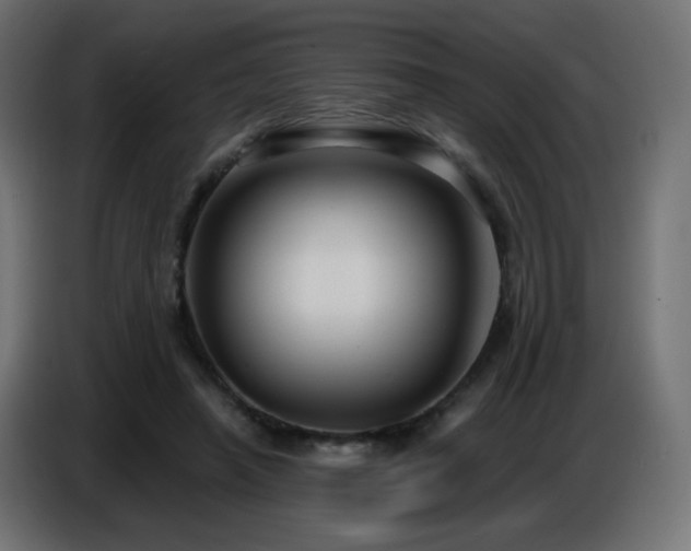 X0000086750450200704131155