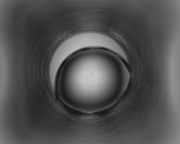 X0000086750452200704131155
