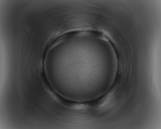 X0000086750453200704131155
