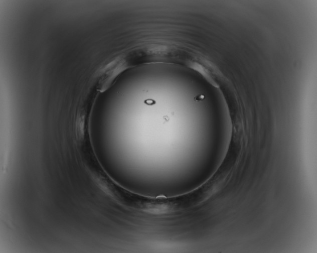X0000086750454200704131155