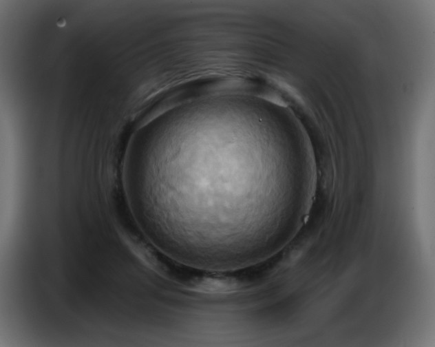 X0000086750455200704131155