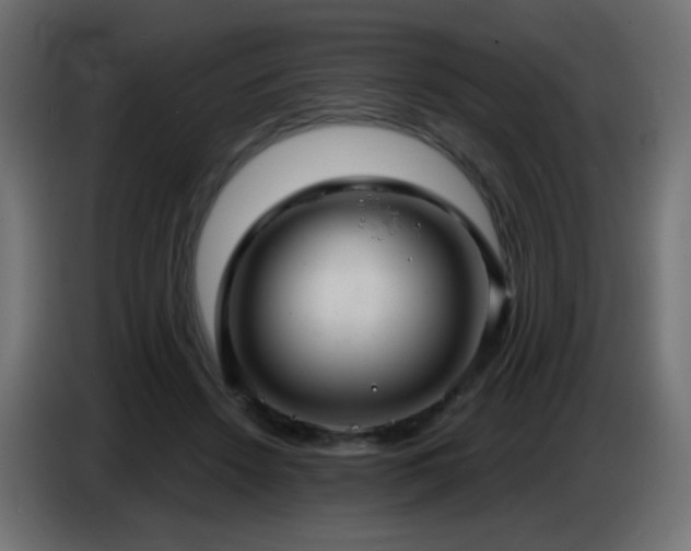 X0000086750456200704131155