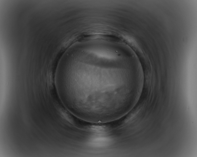 X0000086750457200704131155