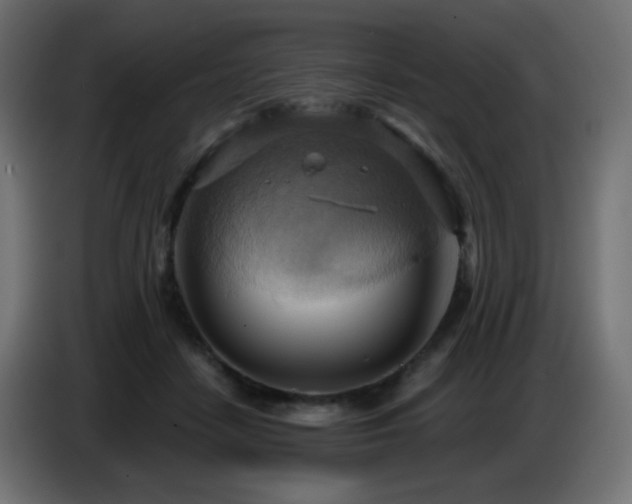 X0000086750458200704131155