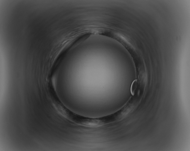 X0000086750459200704131155