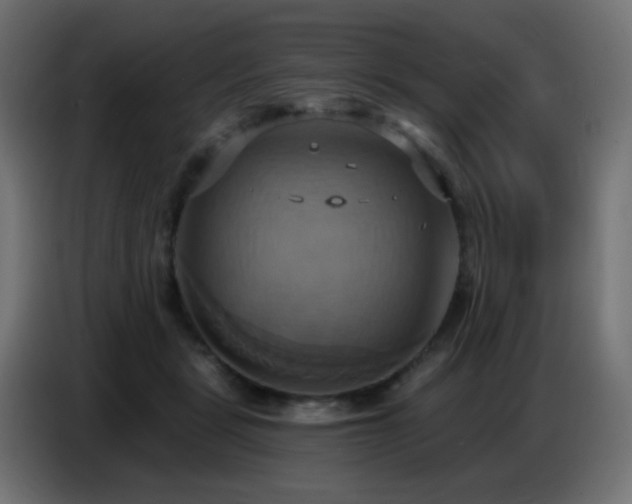 X0000086750461200704131155