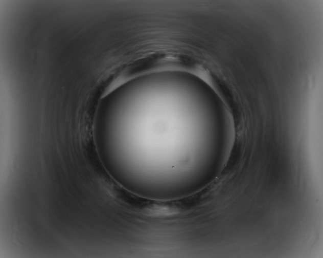 X0000086750464200704131155