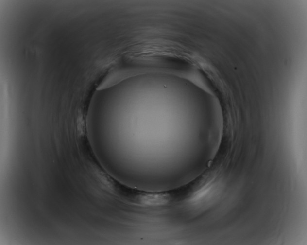 X0000086750465200704131155