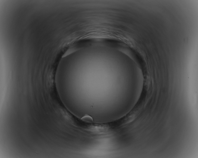 X0000086750466200704131155