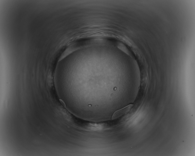 X0000086750469200704131155