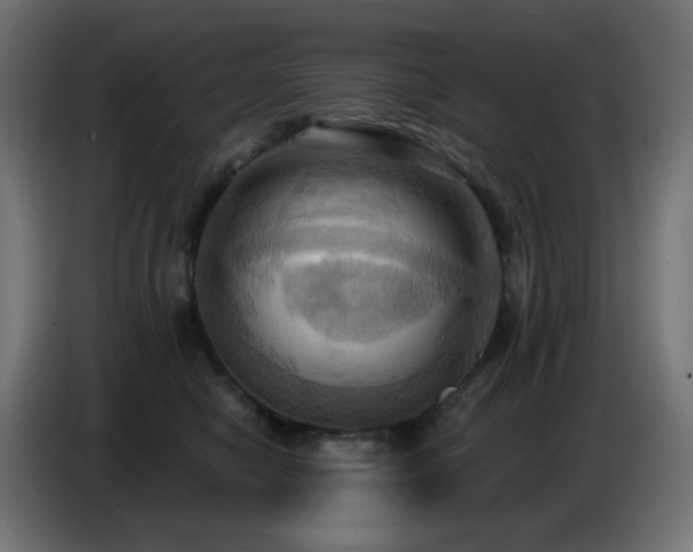 X0000086750470200704131155
