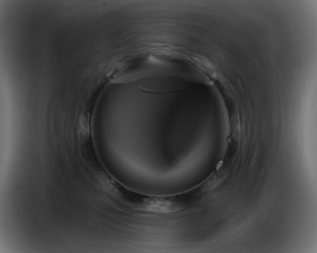 X0000086750471200704131155