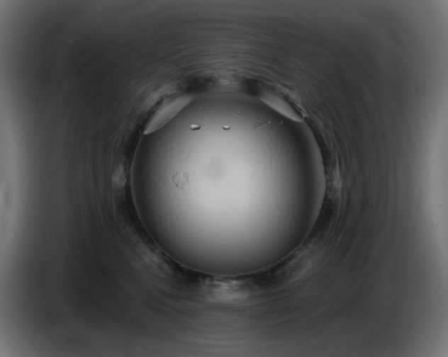 X0000086750472200704131155