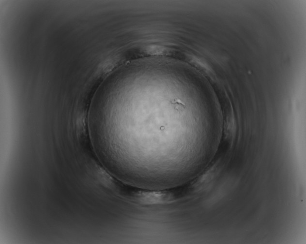 X0000086750473200704131155