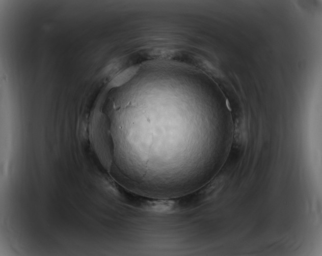 X0000086750474200704131155