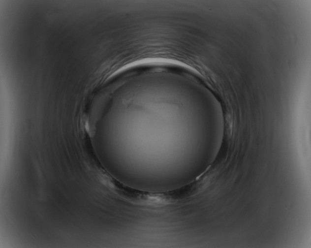 X0000086750475200704131155