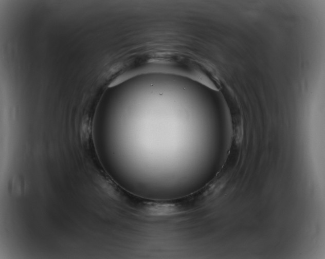 X0000086750476200704131155