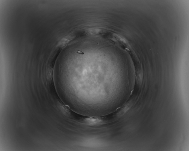 X0000086750477200704131155