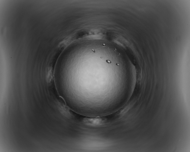 X0000086750478200704131155