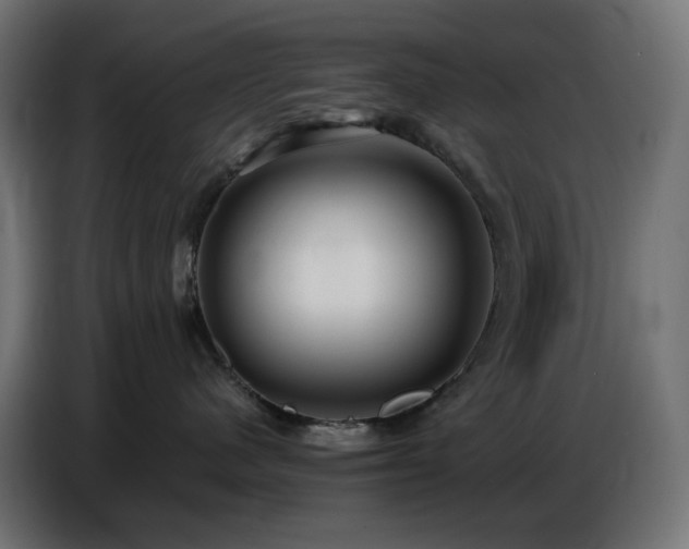 X0000086750480200704131155