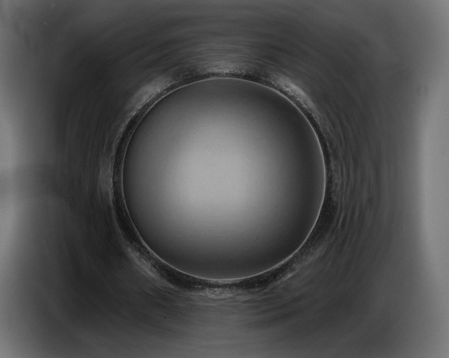X0000086750482200704131154