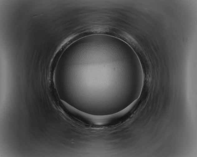 X0000086750484200704131154