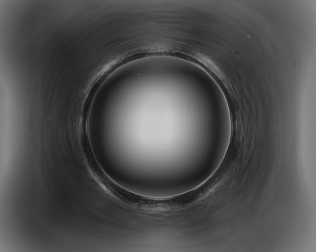 X0000086750485200704131154
