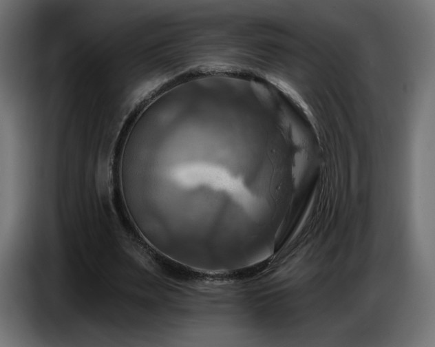 X0000086750487200704131154