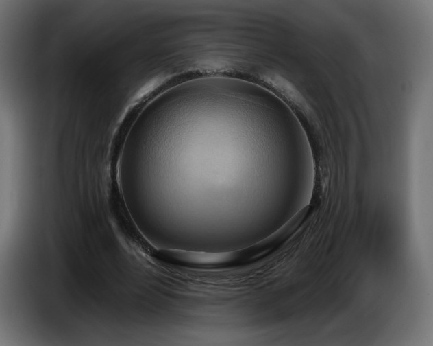 X0000086750488200704131154