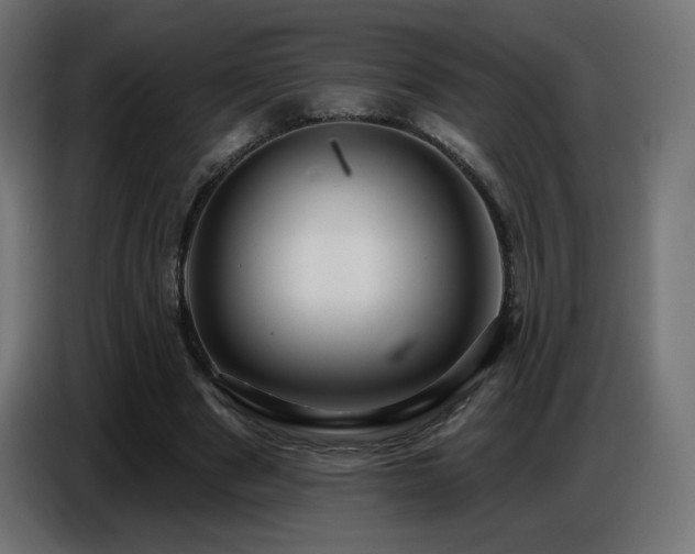 X0000086750489200704131154