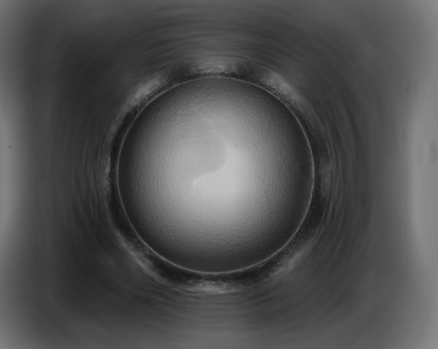 X0000086750490200704131154