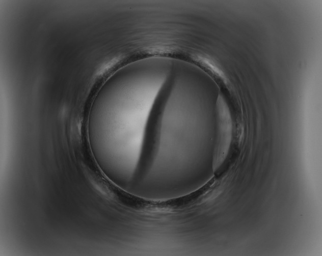 X0000086750491200704131154