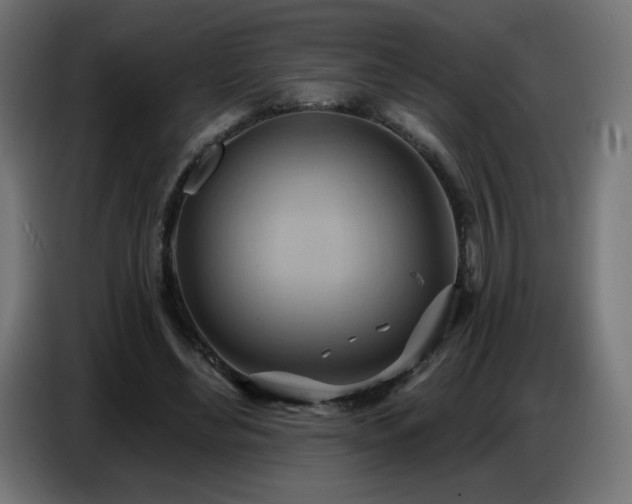 X0000086750492200704131154