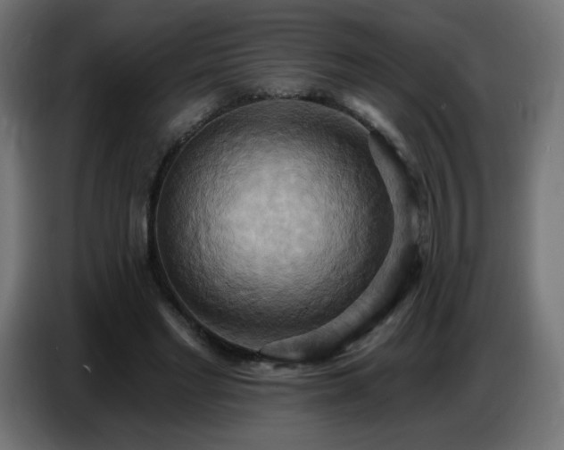 X0000086750493200704131154