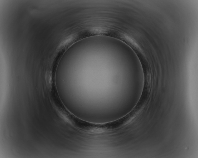 X0000086750494200704131154