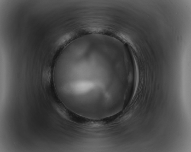 X0000086750495200704131154