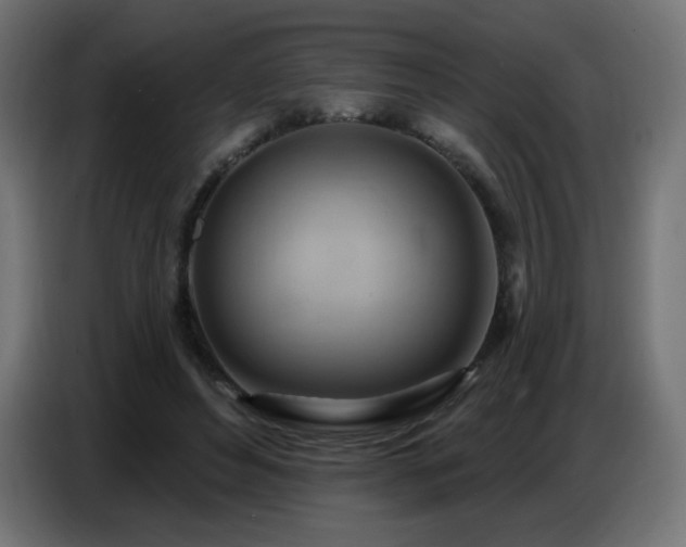 X0000086750496200704131154