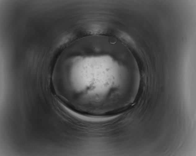 X0000086750499200704131154