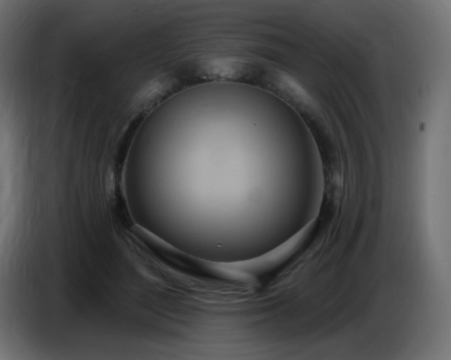 X0000086750500200704131154