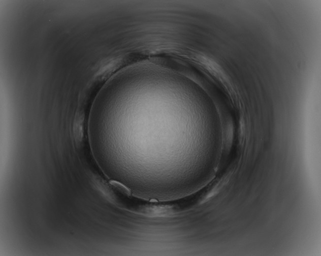 X0000086750501200704131154