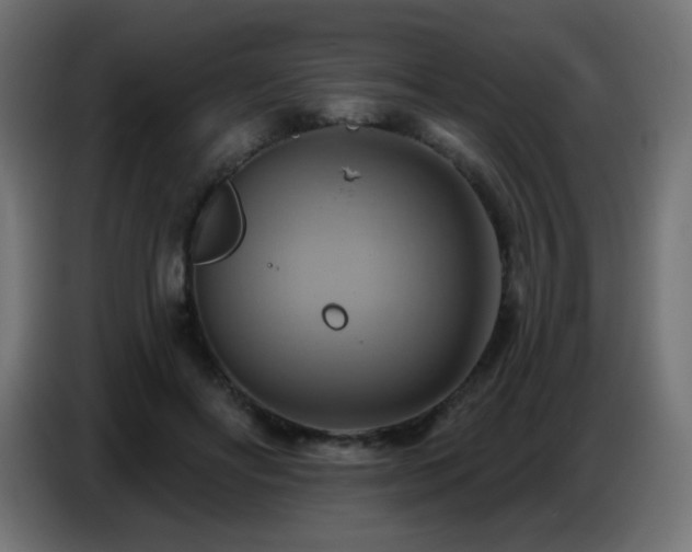 X0000086750502200704131154