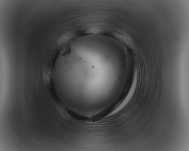 X0000086750503200704131154