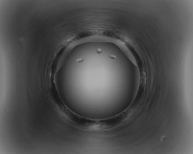 X0000086750504200704131154