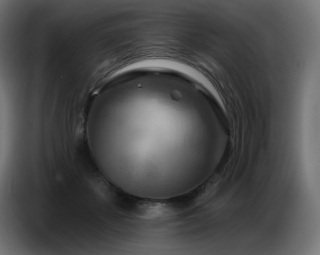 X0000086750507200704131154