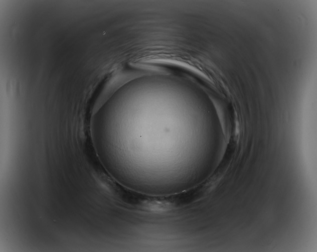 X0000086750512200704131154